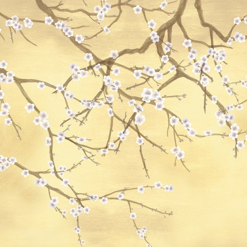 Gilded Sakura, VLAdiLA