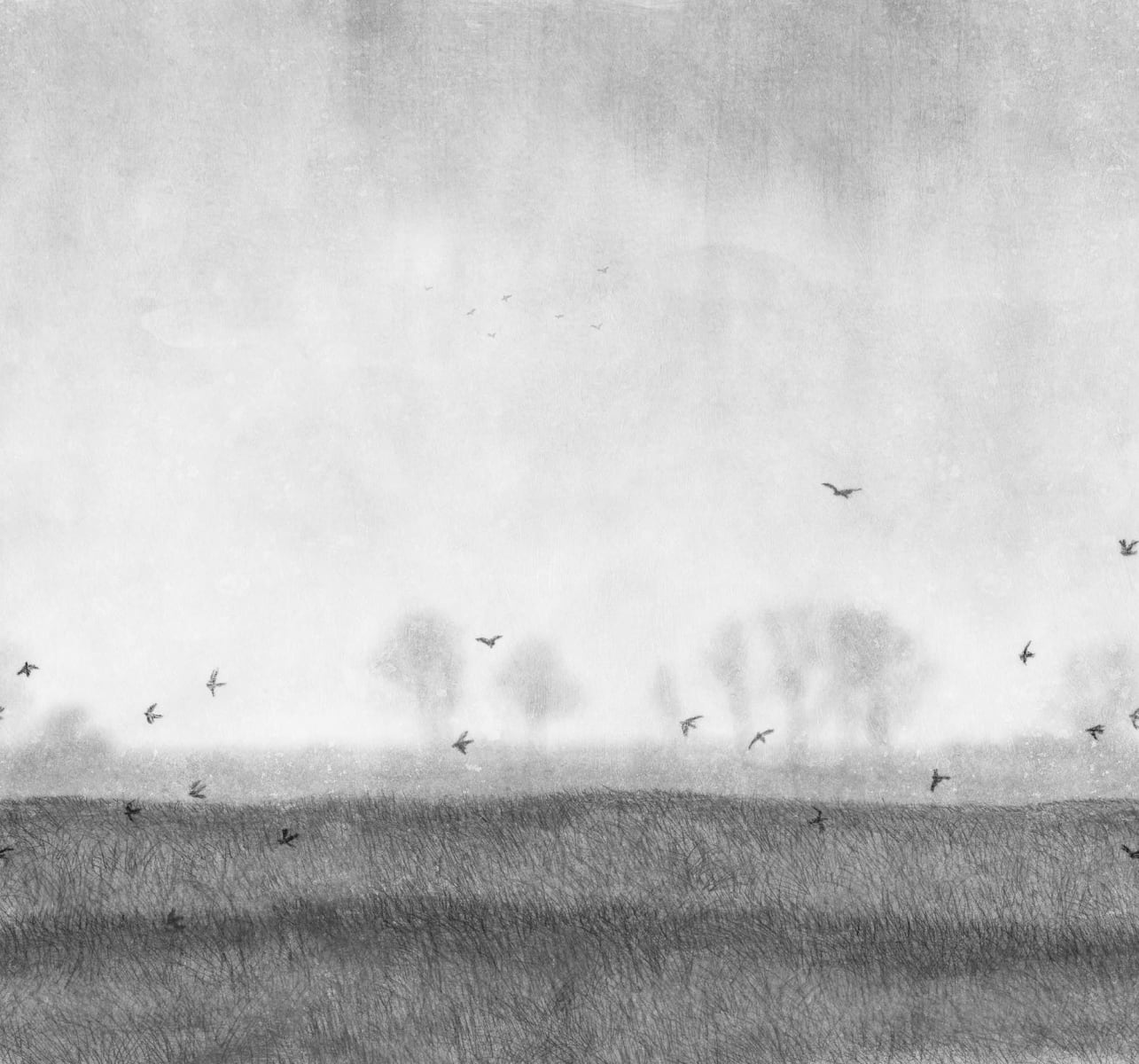 Scandinavian Landscape, Black & White, Rebel Walls