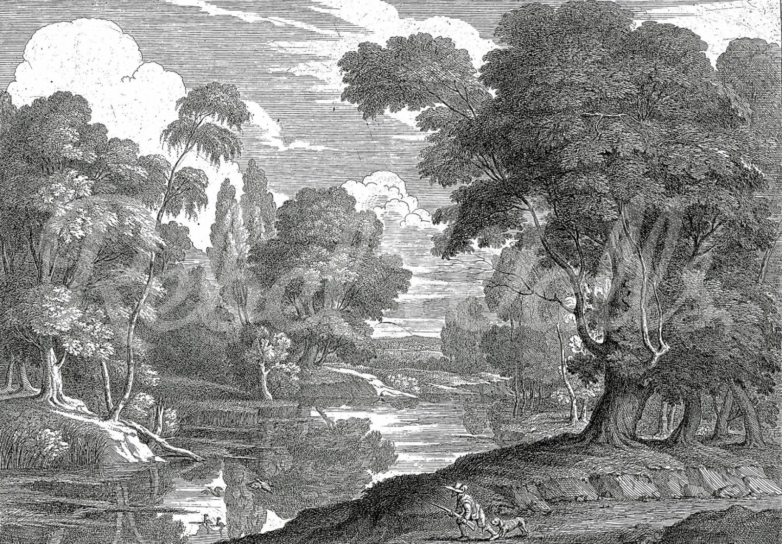 Park Etching, Gray, Rebel Walls