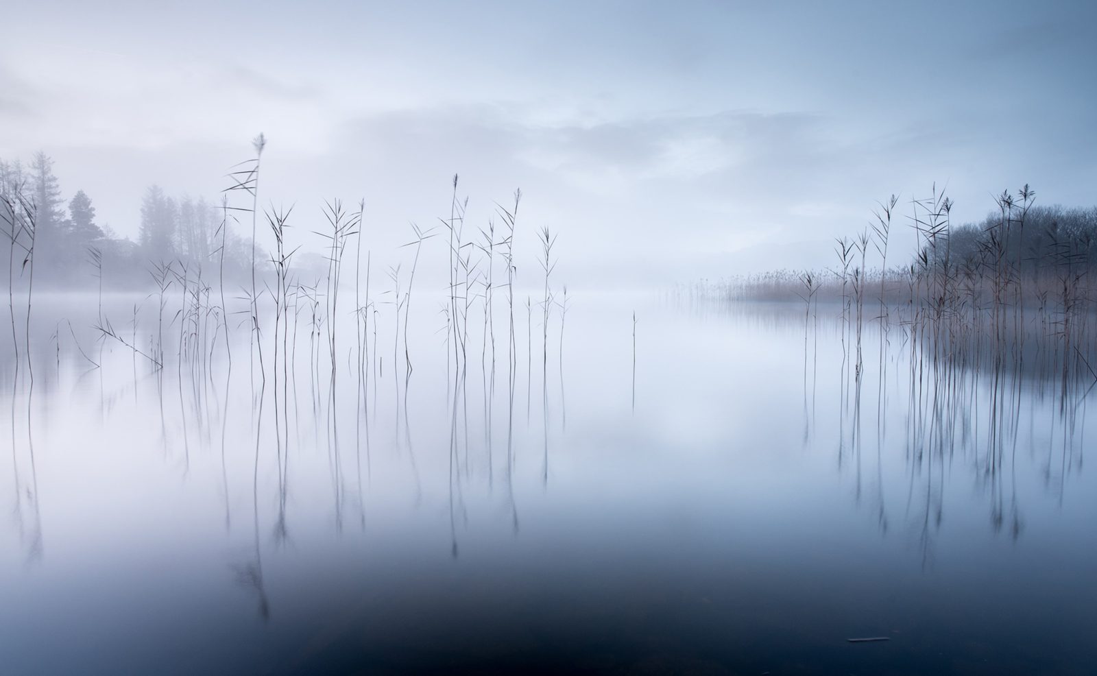 Calm Lake, Rebel Walls