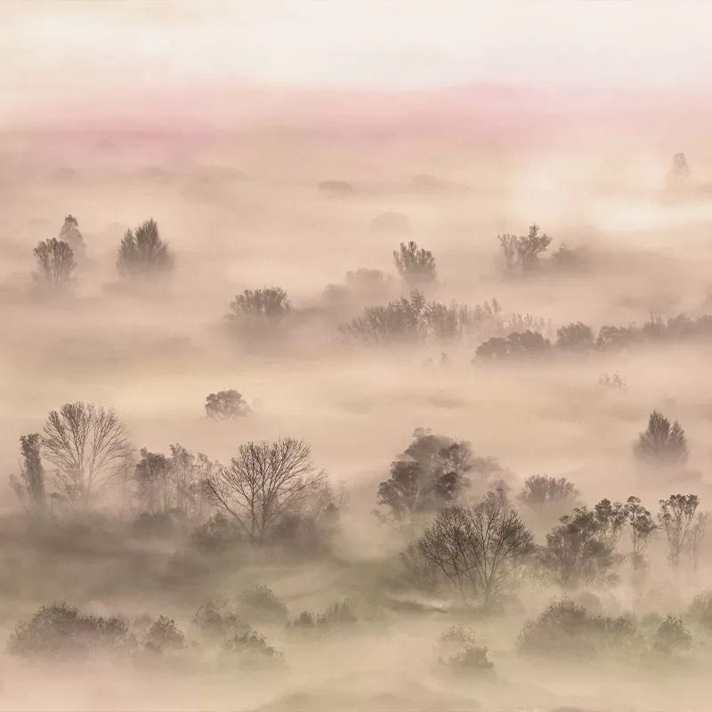 Foggy Landscape Peach, VLAdiLA