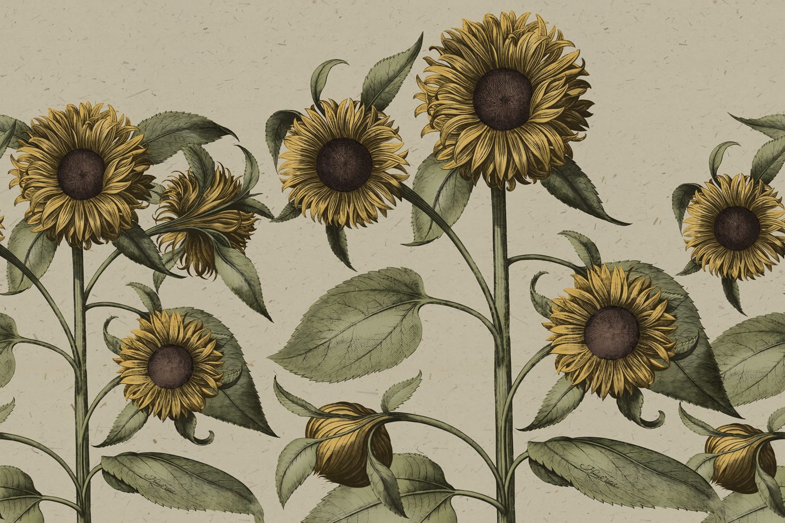 Sunflower, Yellow, Rebel Walls