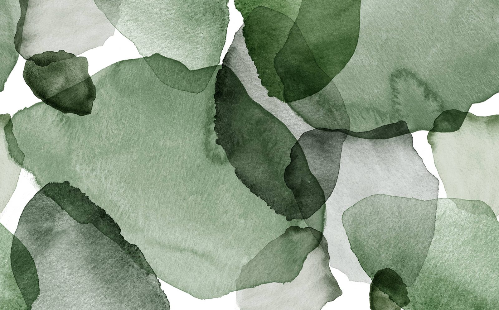 Shadow Petals, Green, Rebel Walls