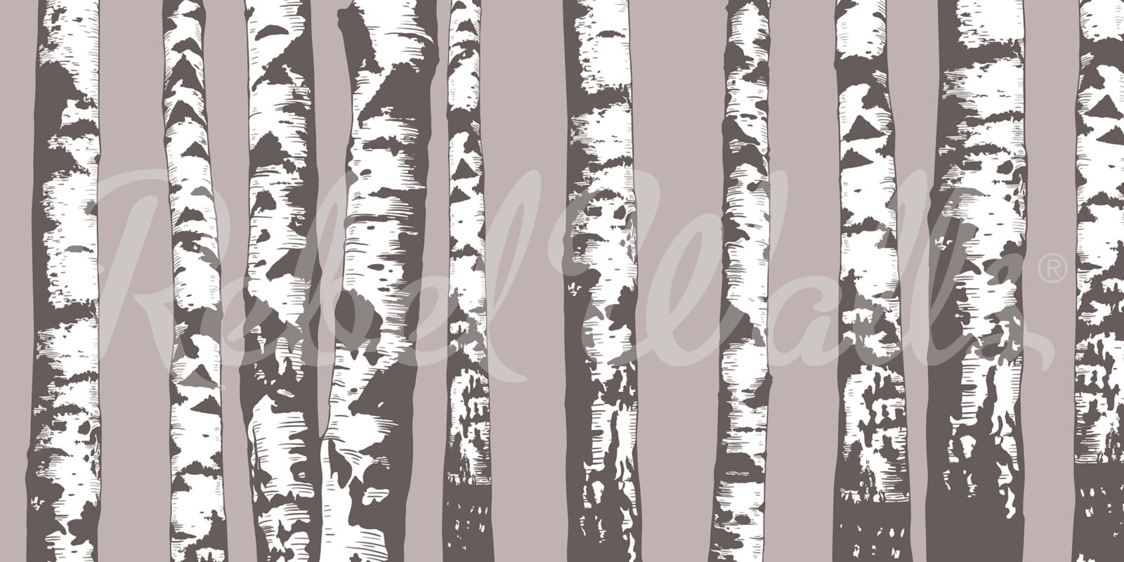 Birch Grove, Gray, Rebel Walls