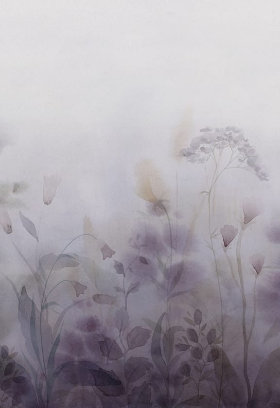 Vilda Dawn, Sandberg