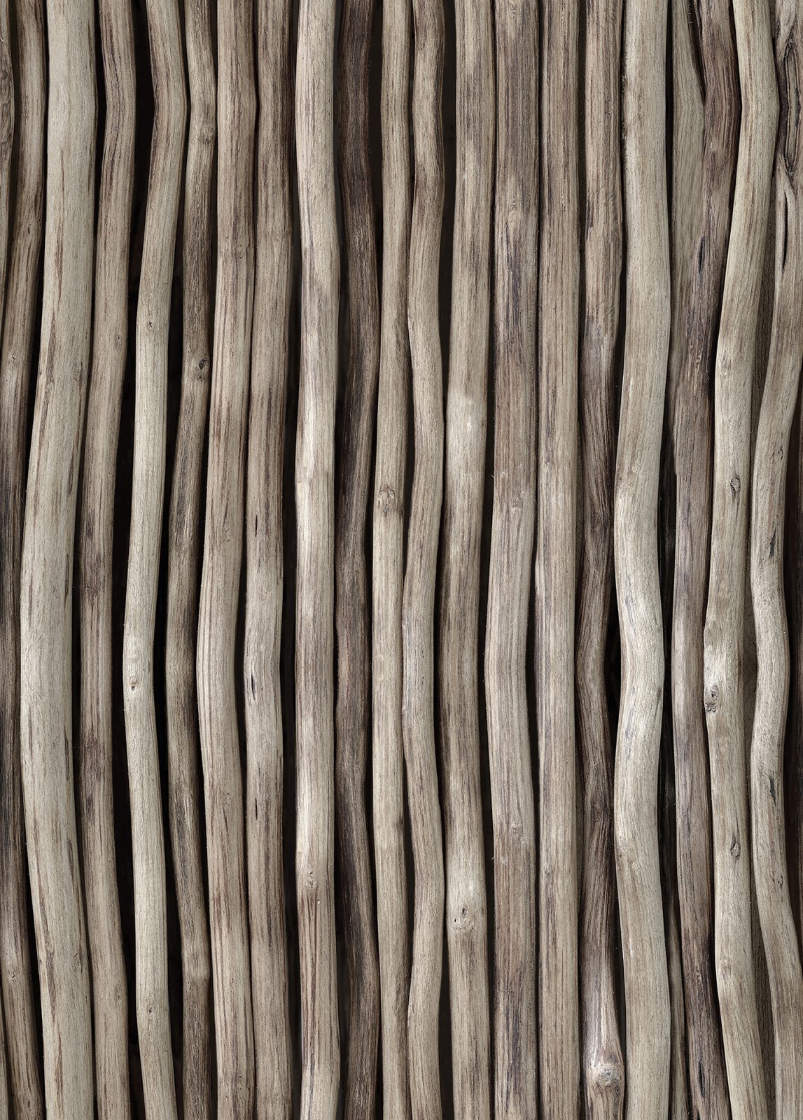 Silence, Rebel Walls