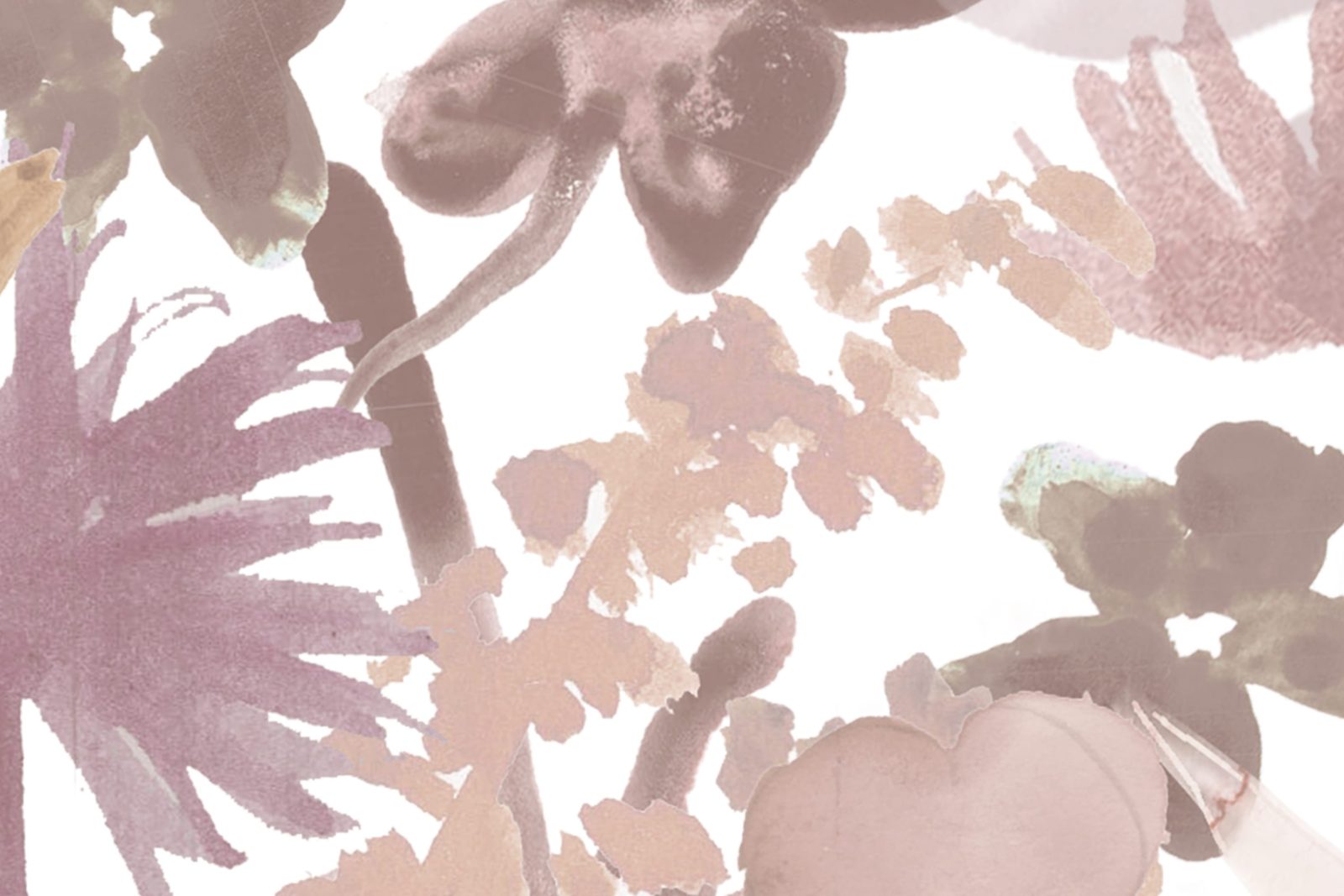 May Meadow, Dusty Pink, Rebel Walls 4