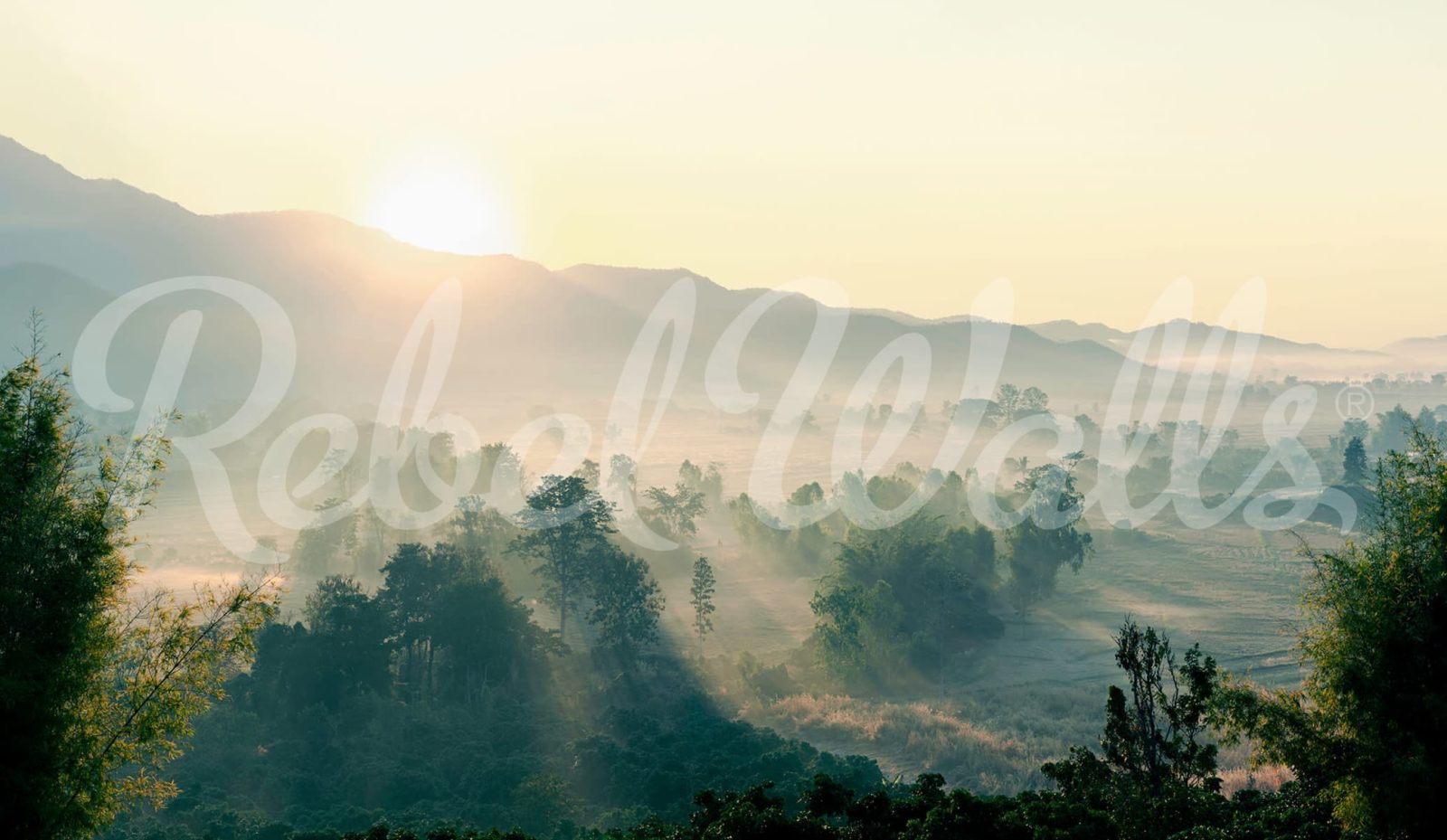Morning Light, Rebel Walls