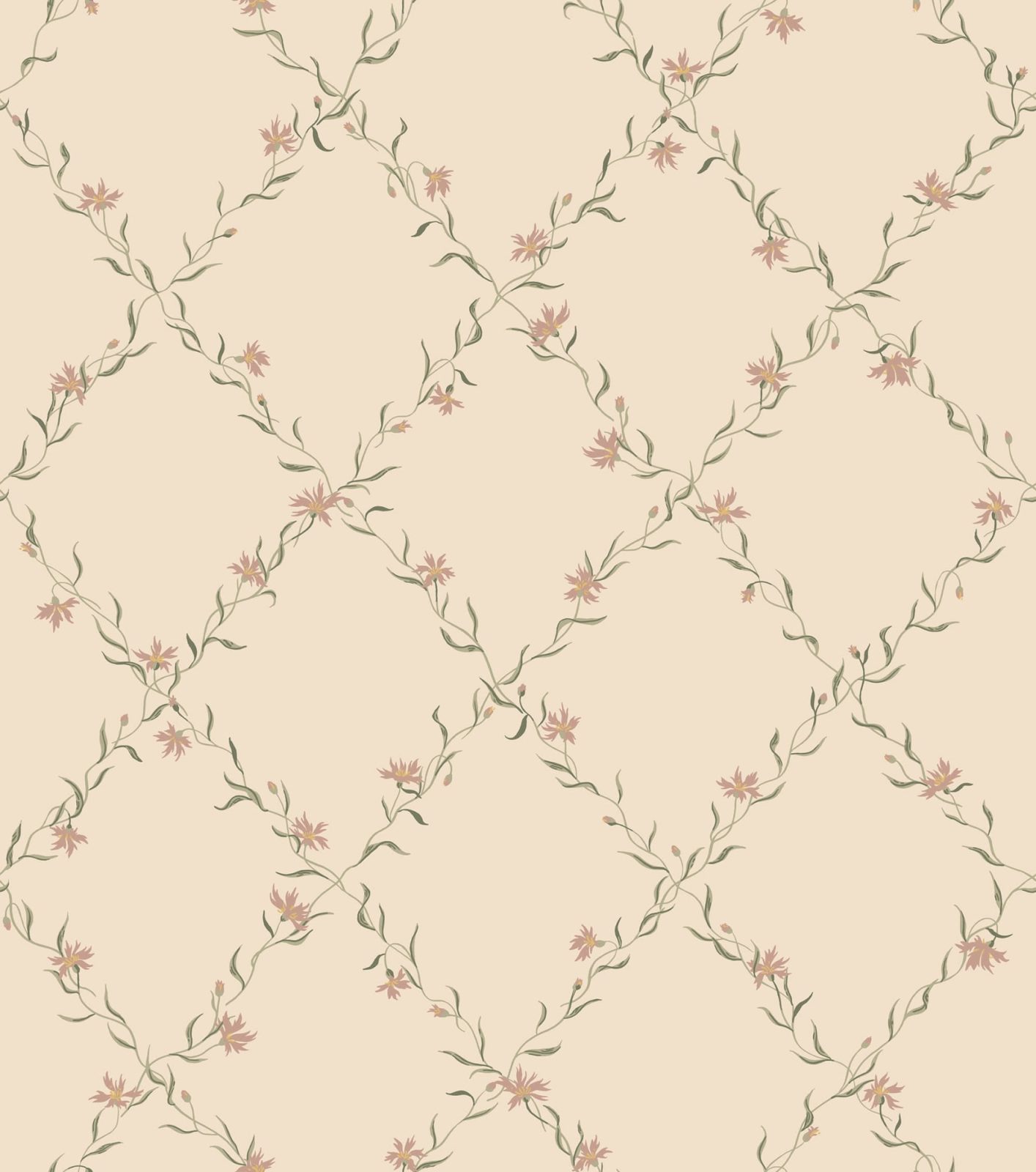 Ewa, Dusty Pink, Sandberg, 5.3mp / rola