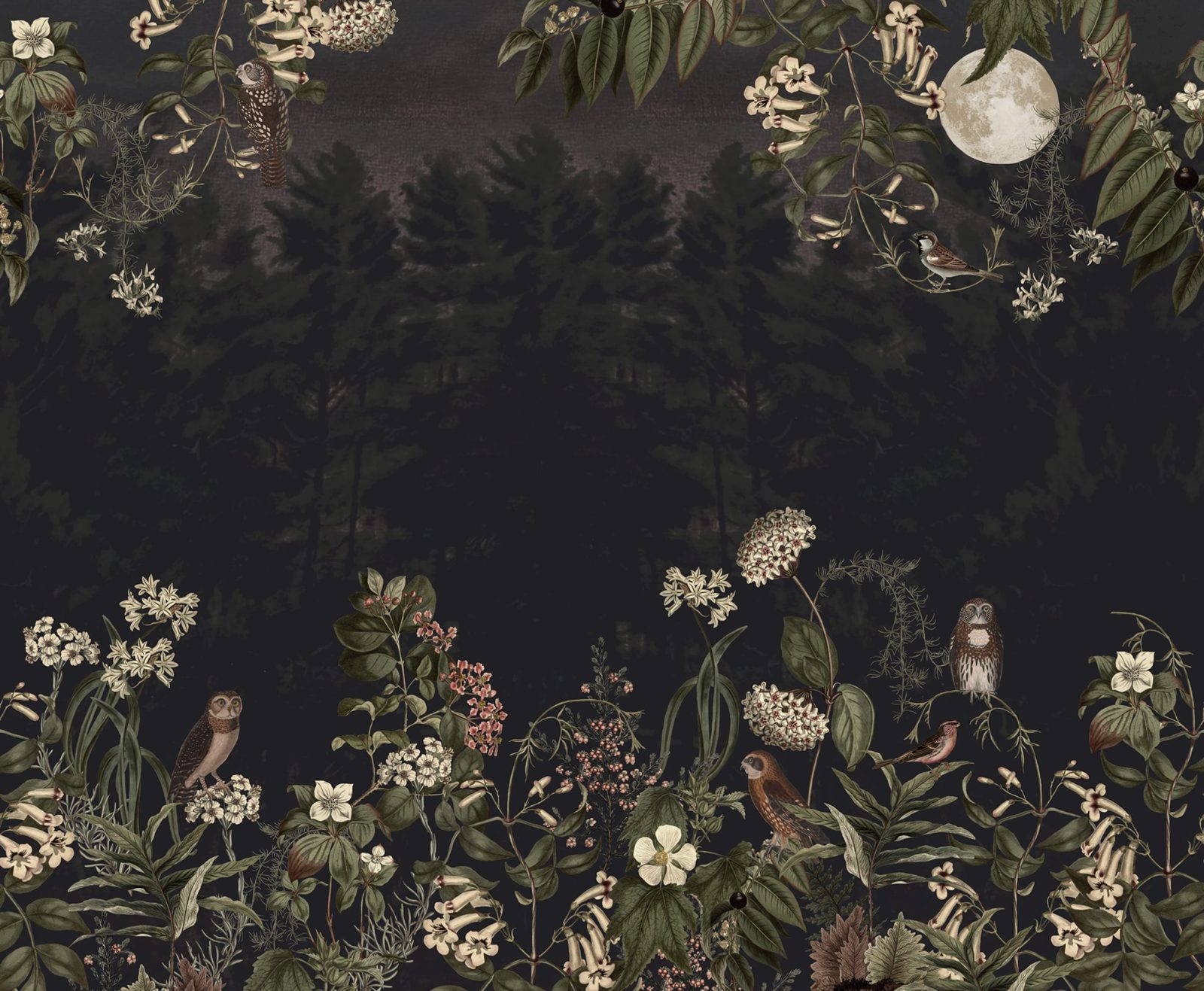 Owl Forest, Night, Rebel Walls