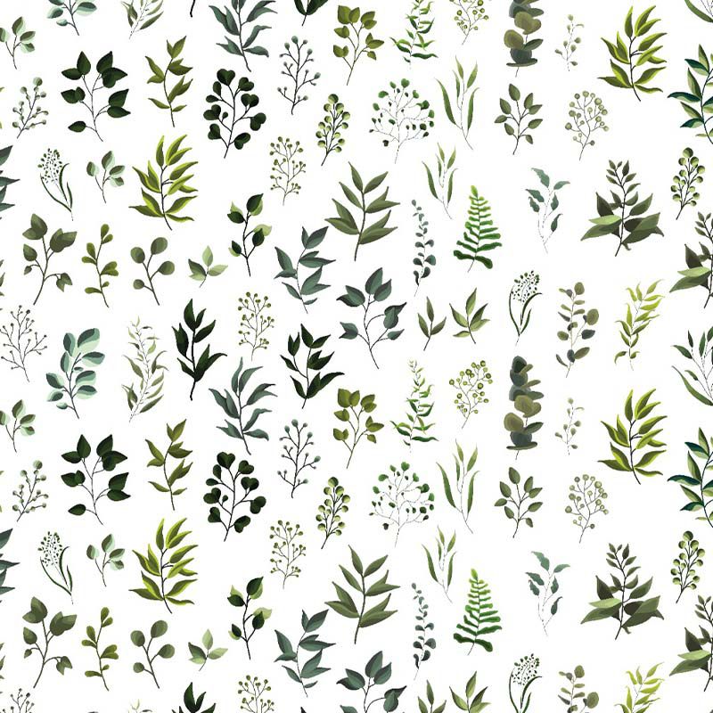 Green Friends, VLAdiLA