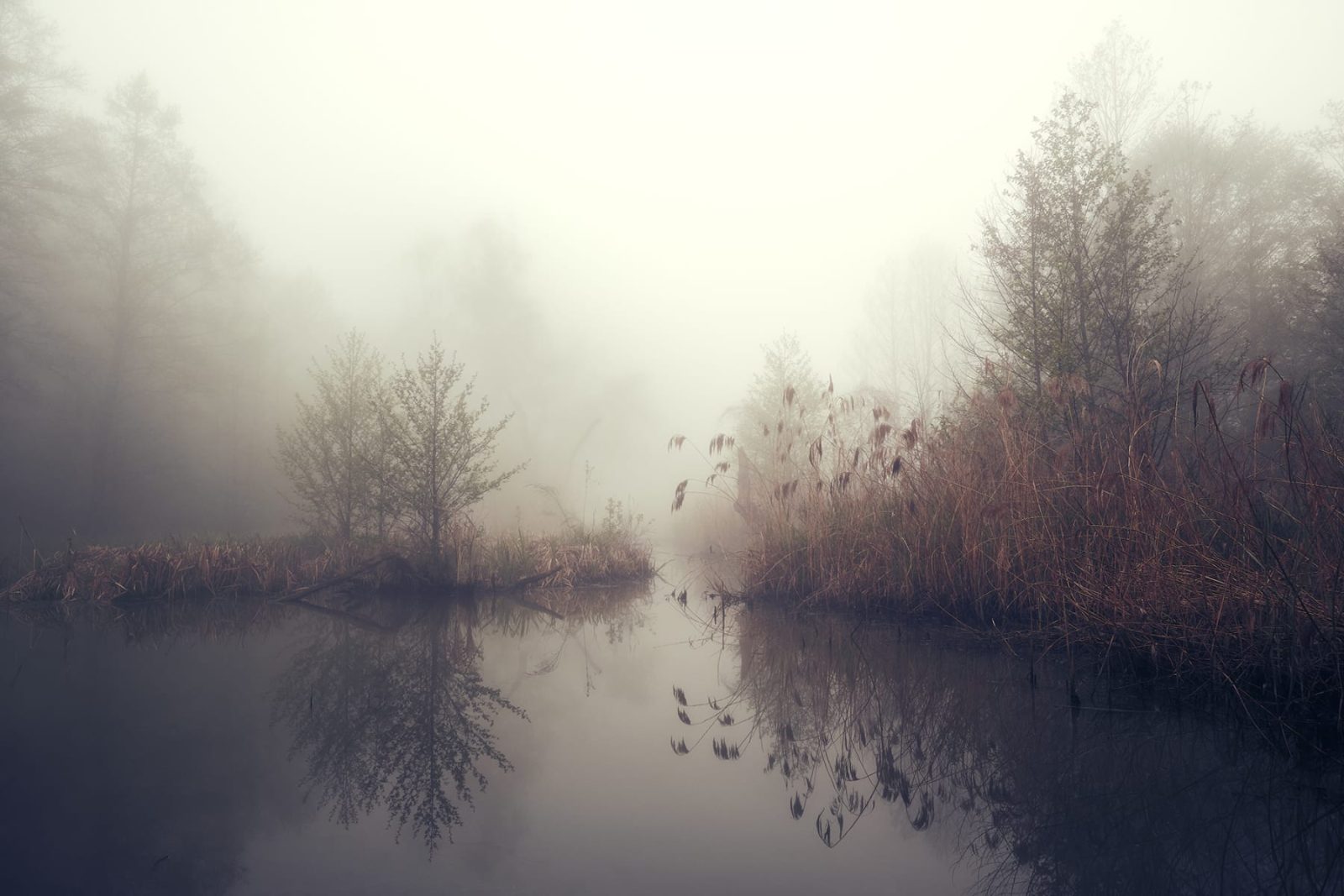 Autumn Pond, Rebel Walls