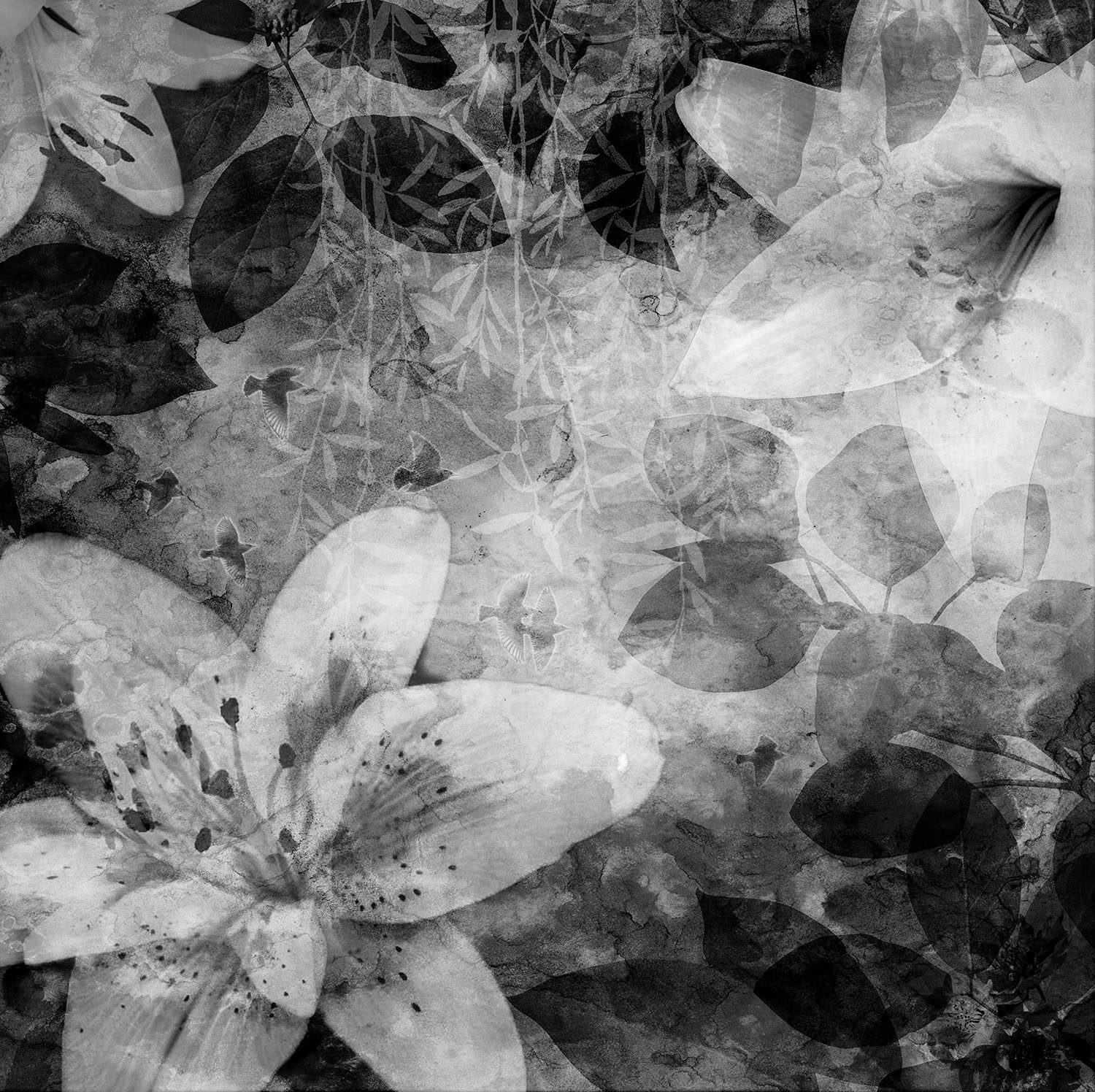 Garden of Dreams, Black & White, Rebel Walls