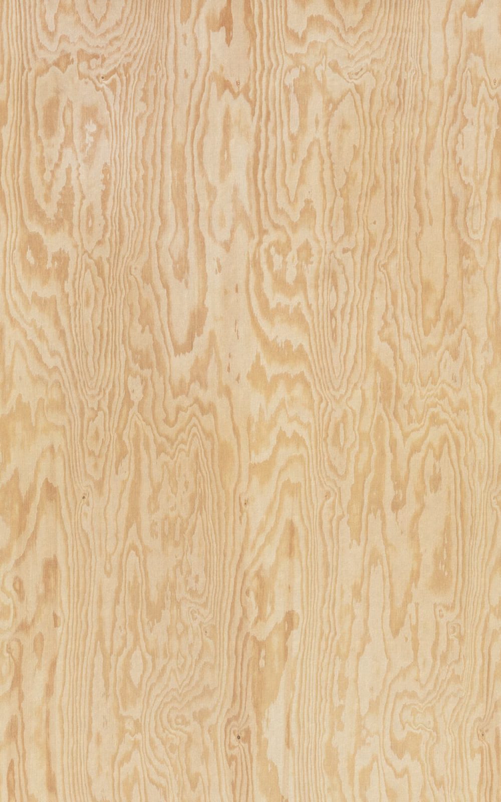 Wood Shades, Pine Wood, Rebel Walls