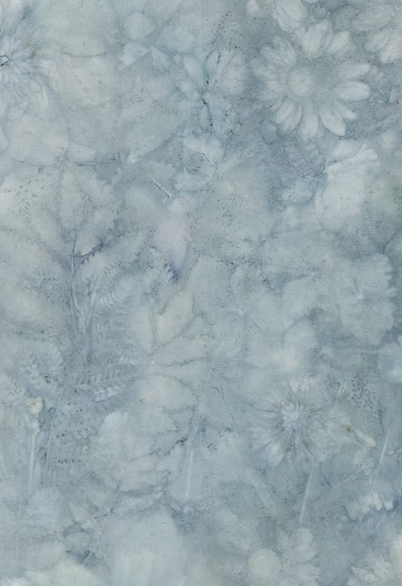 Monica Misty Blue, Sandberg