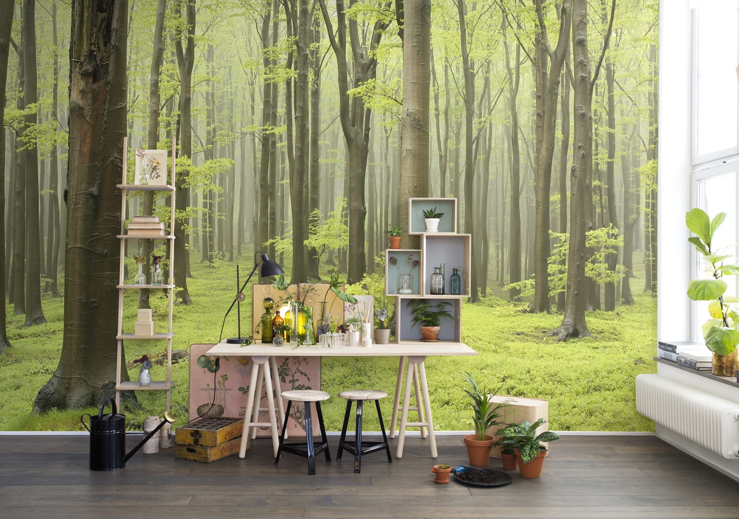 Deciduous Forest, Rebel Walls 5