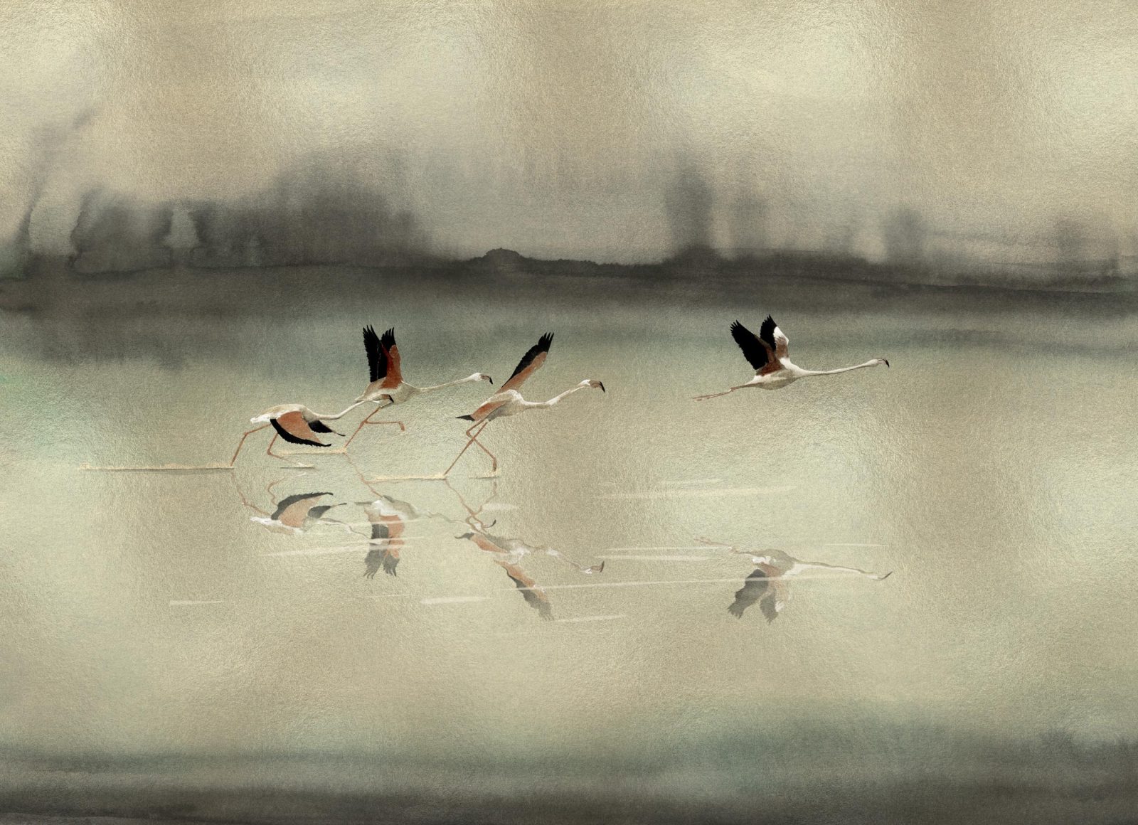 Doñana, Gold, Coordonne