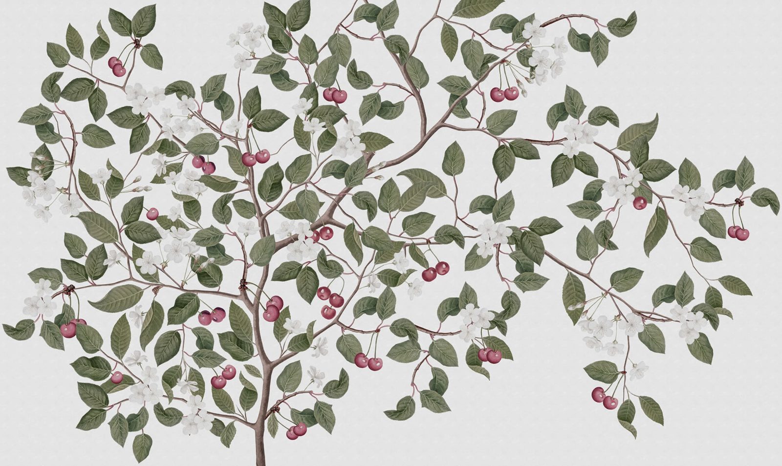 Cherries, White, Rebel Walls