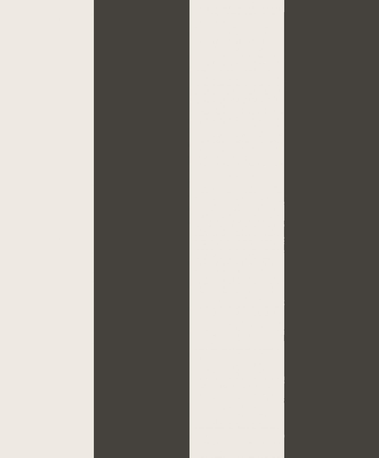 Magnus Graphite, Sandberg, 5.3mp / rola