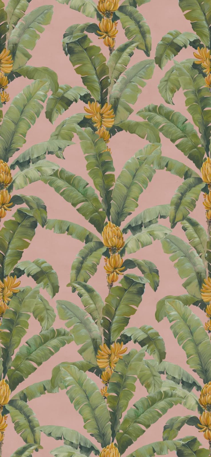Banana Leaf, Pink, Rebel Walls