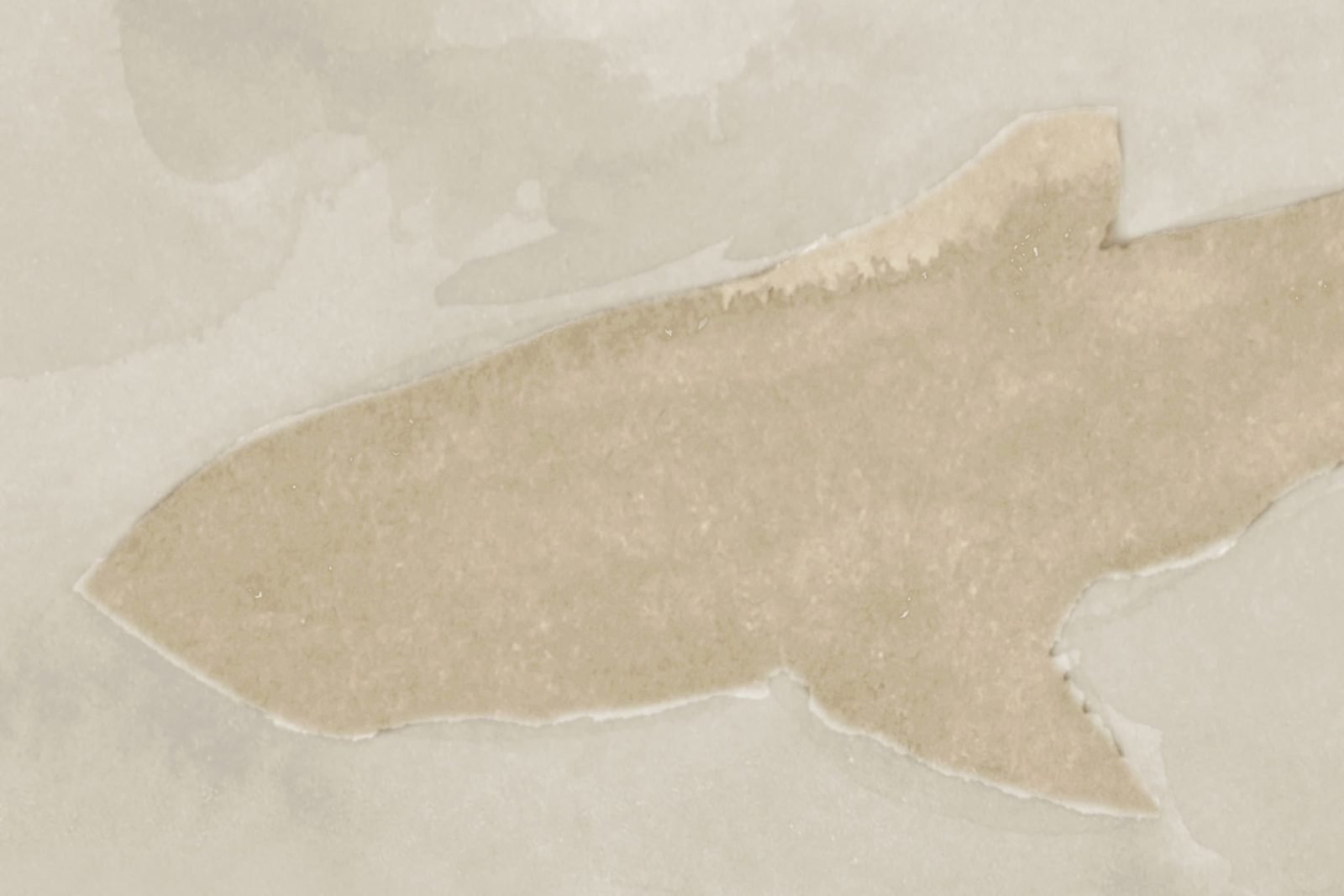 Silent Stream, Beige, Rebel Walls 4