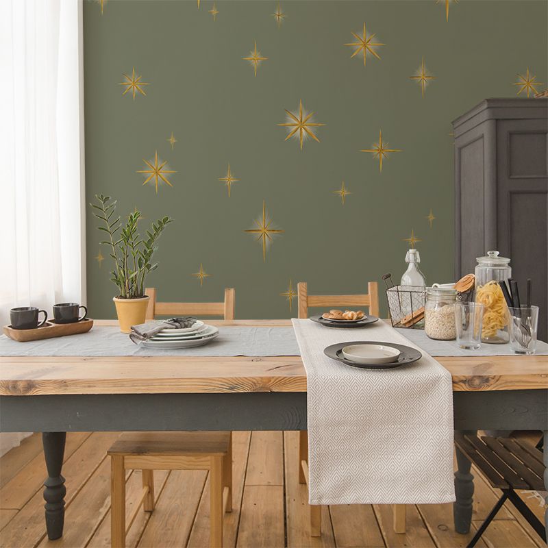 Stars Olive Classic, VLAdiLA 3