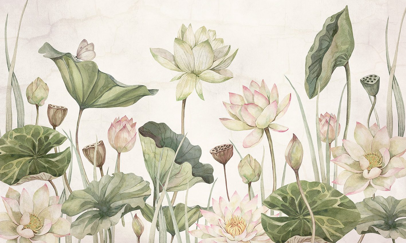 Lovely Water Lillies, Sir Edward