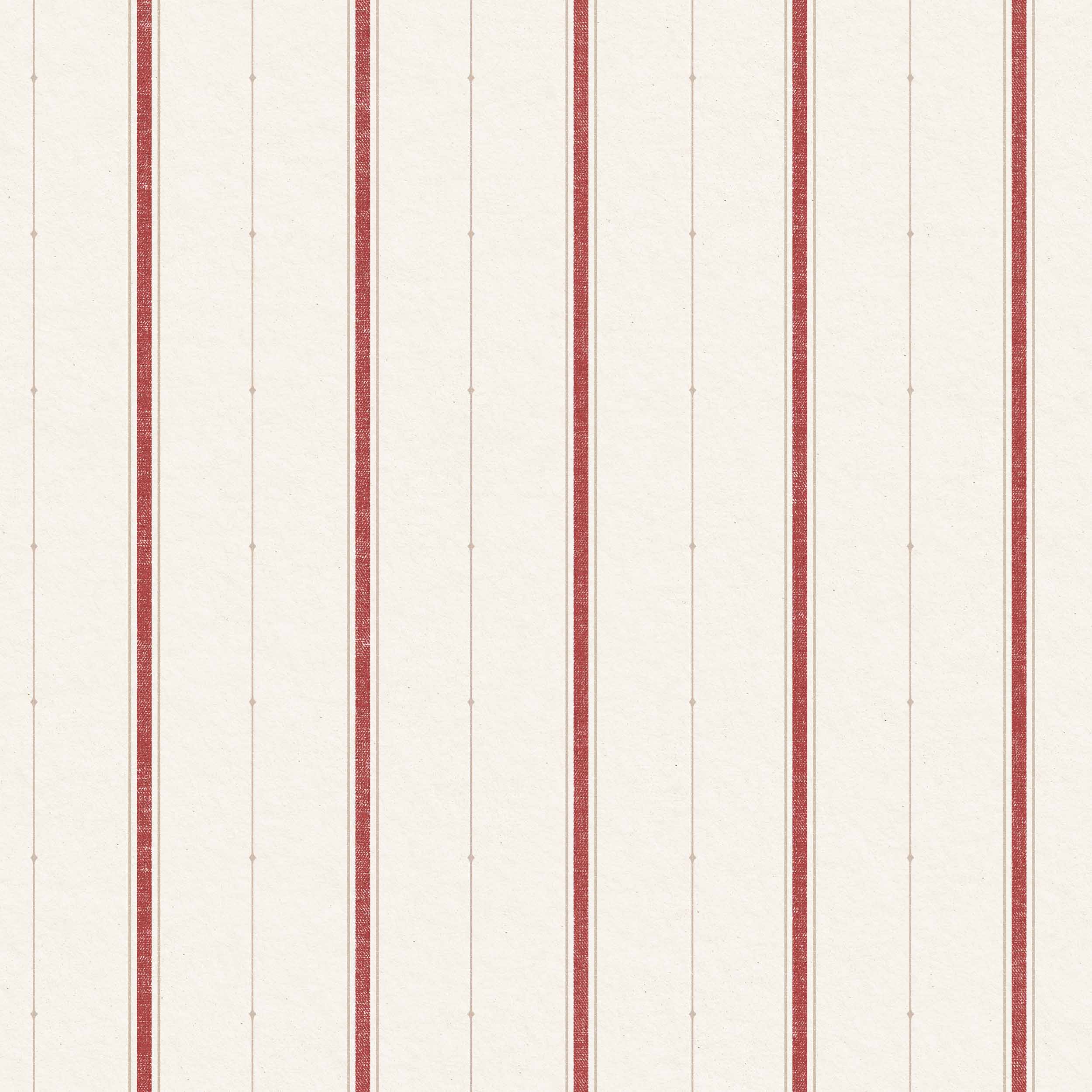 Lineal, Red, Coordonne, 5mp / rola