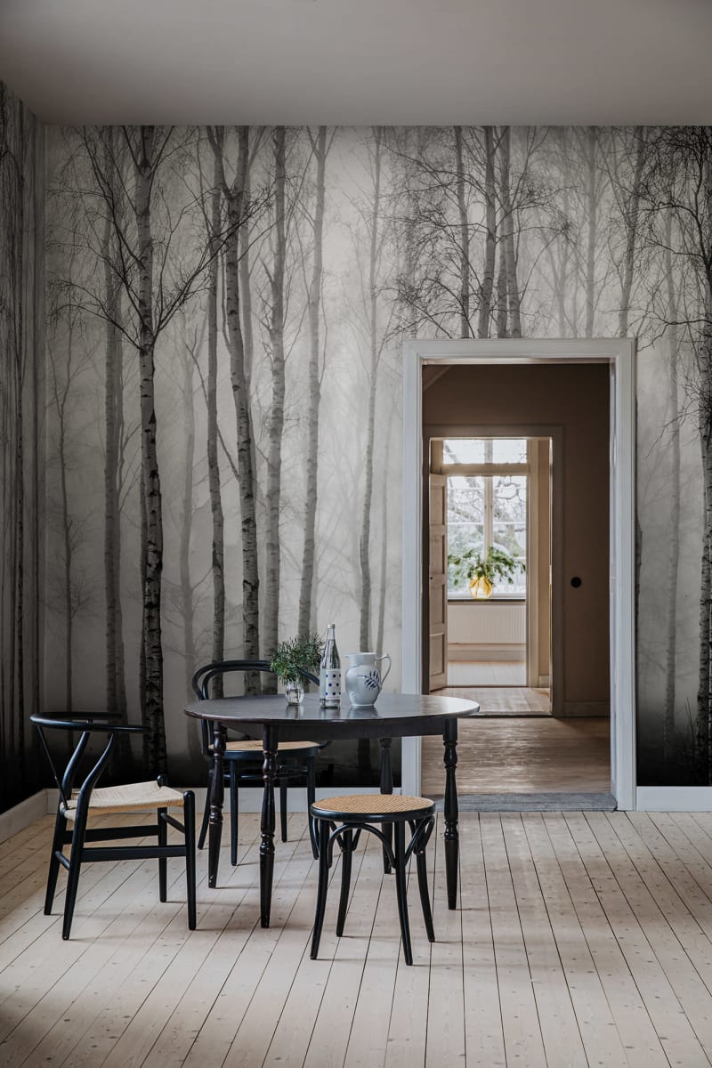 Birch Fog, Black & White, Rebel Walls 2