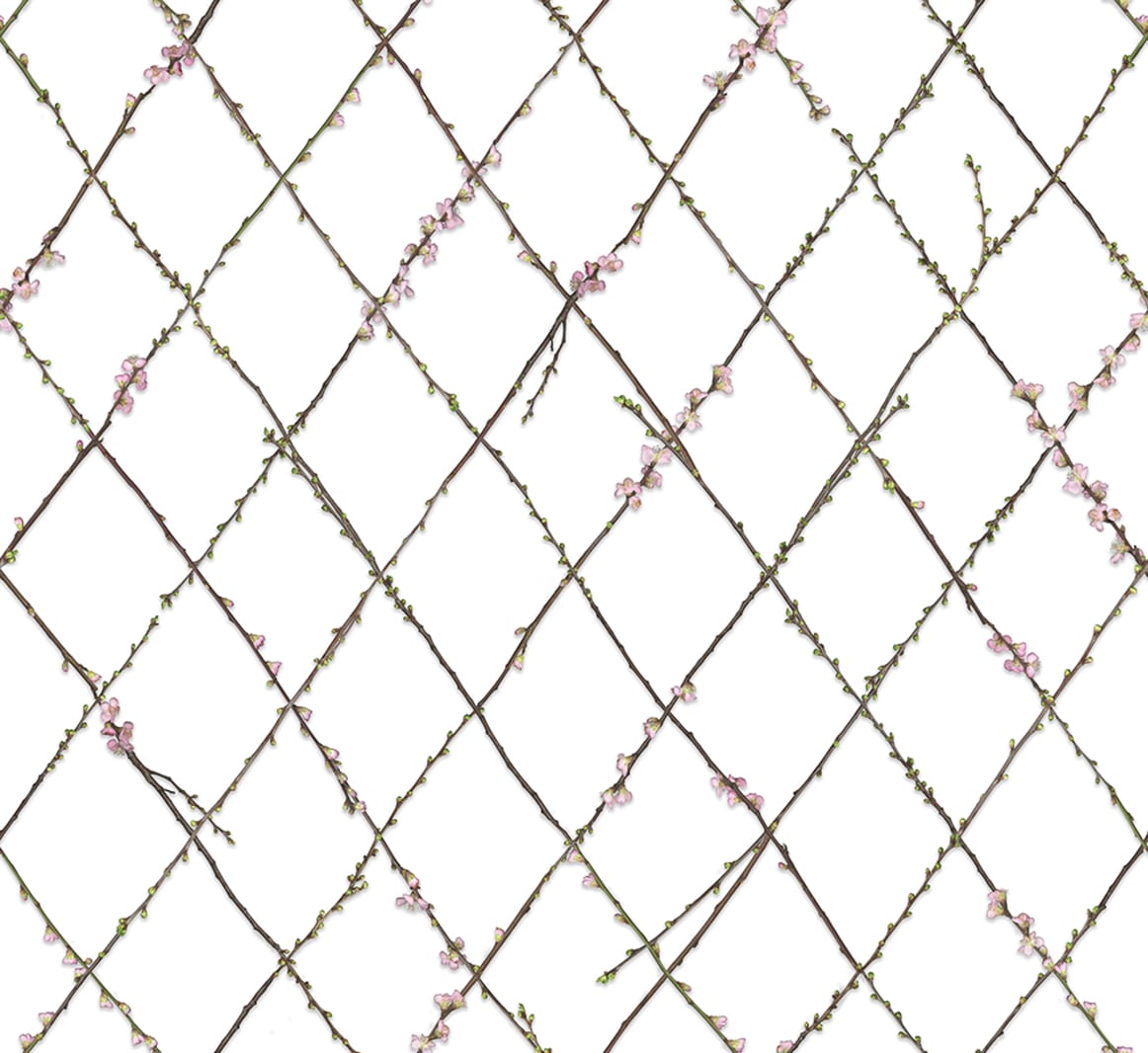 Winding Spring, Rebel Walls