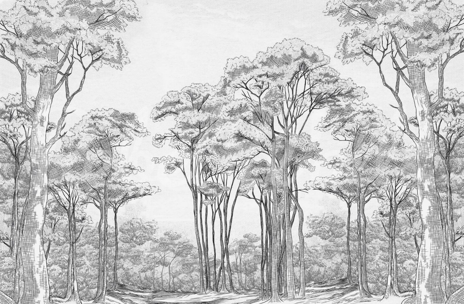 Graphic Trees, Black & White, Rebel Walls