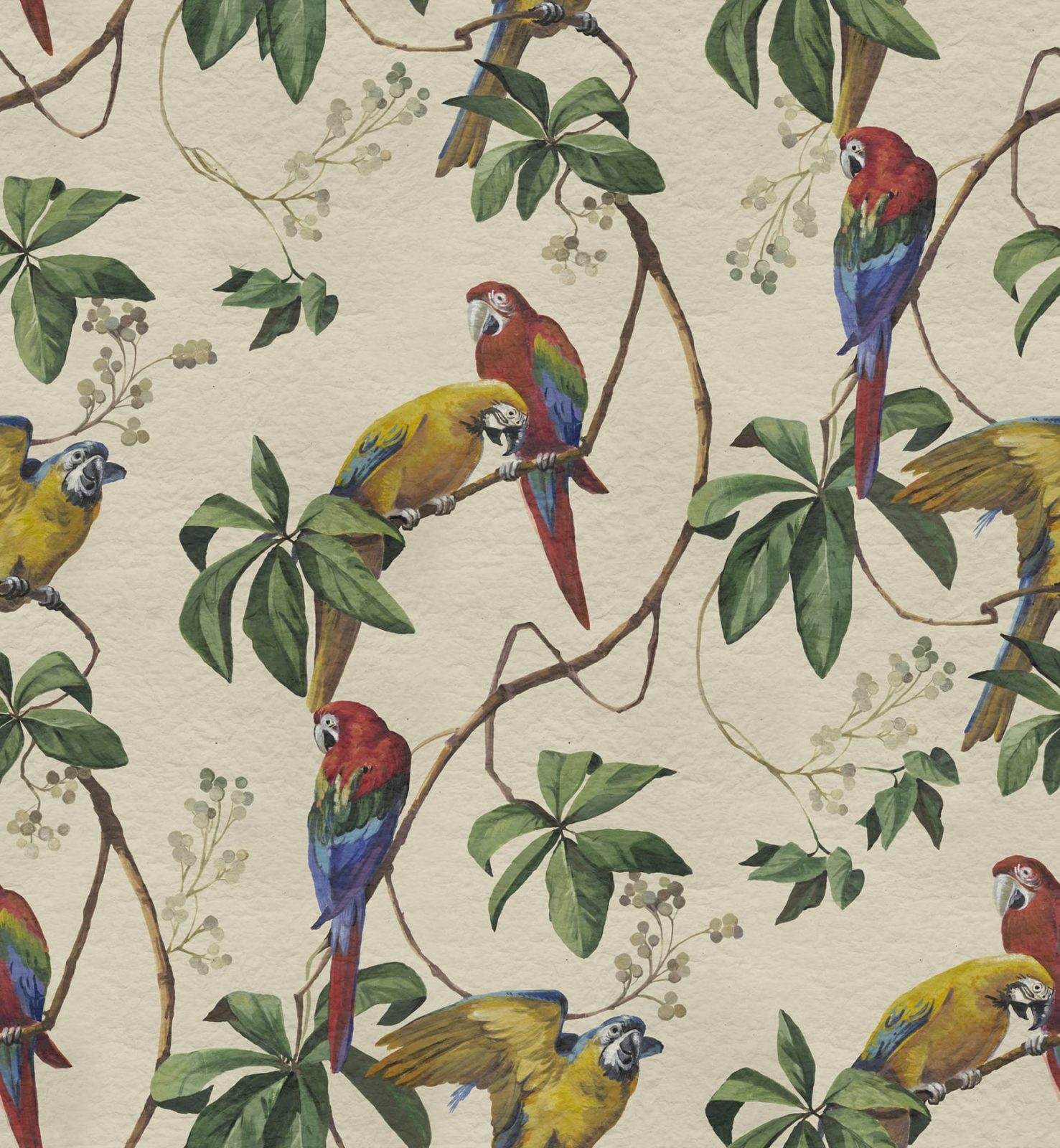 Parrots, Sand, Rebel Walls