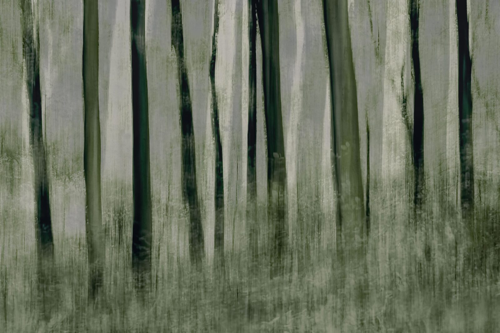 Painted Trees, Rebel Walls