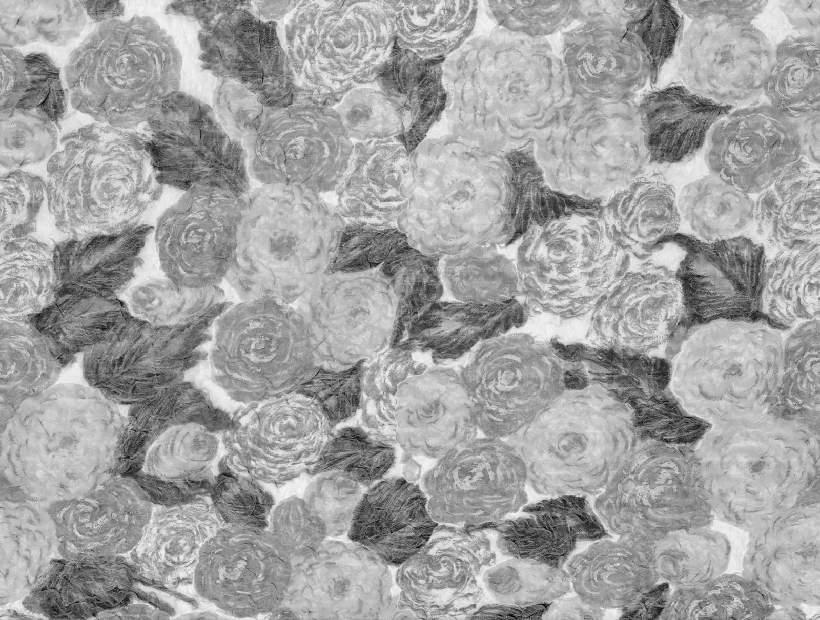 Sol Rosa, Black & White, Rebel Walls