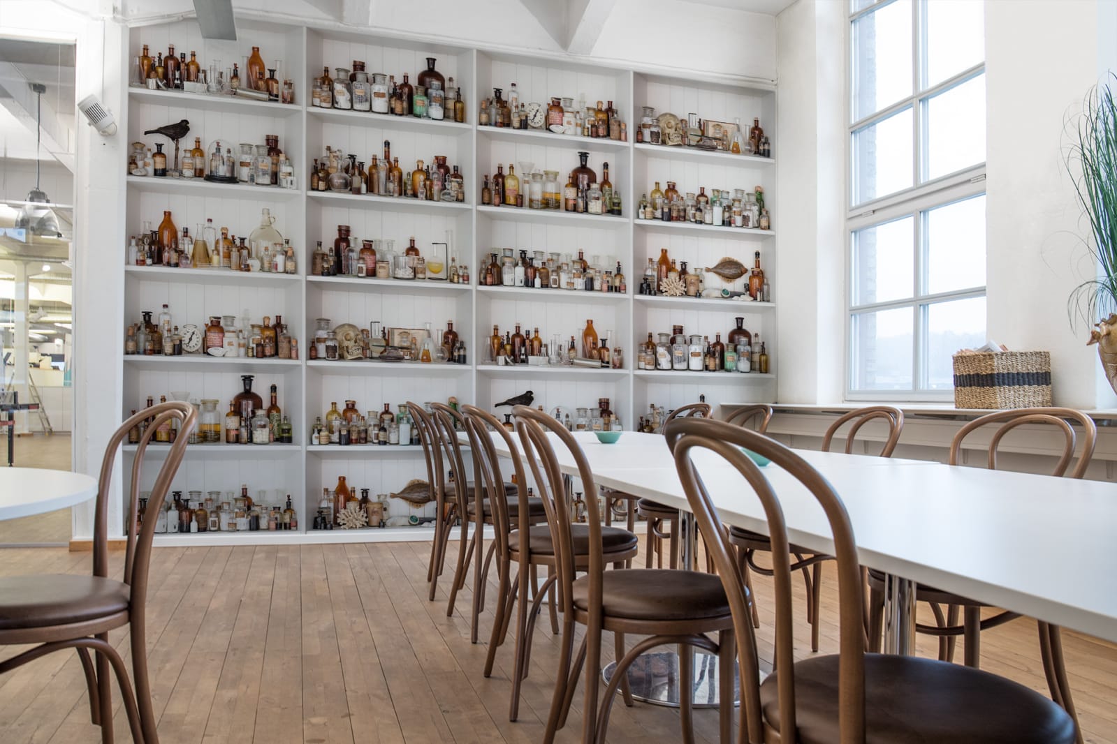 3D Cabinet of Curios, Rebel Walls 4