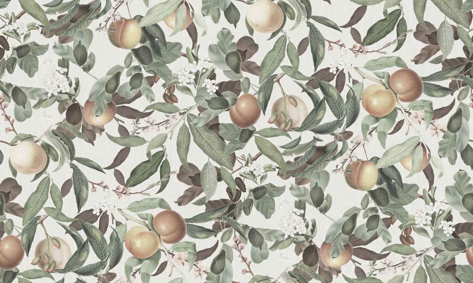 Peach Valley Bold, Spring, Rebel Walls