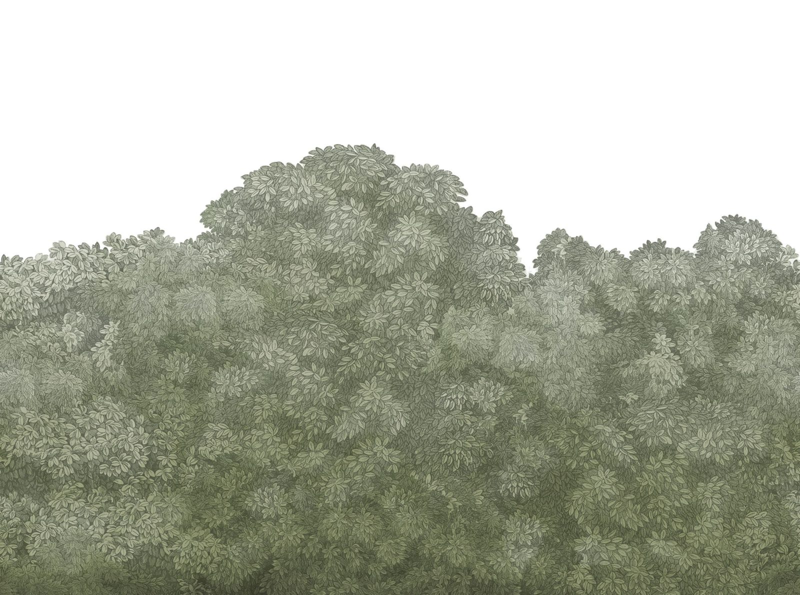 Belle Buisson, Green, Rebel Walls