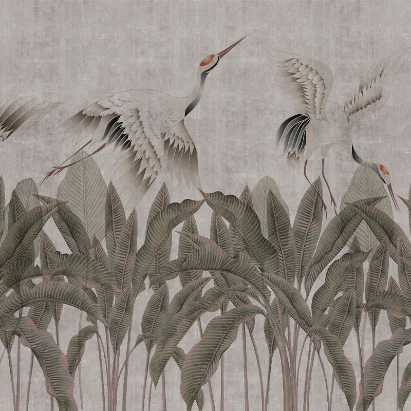 Wild Cranes, VLAdiLA