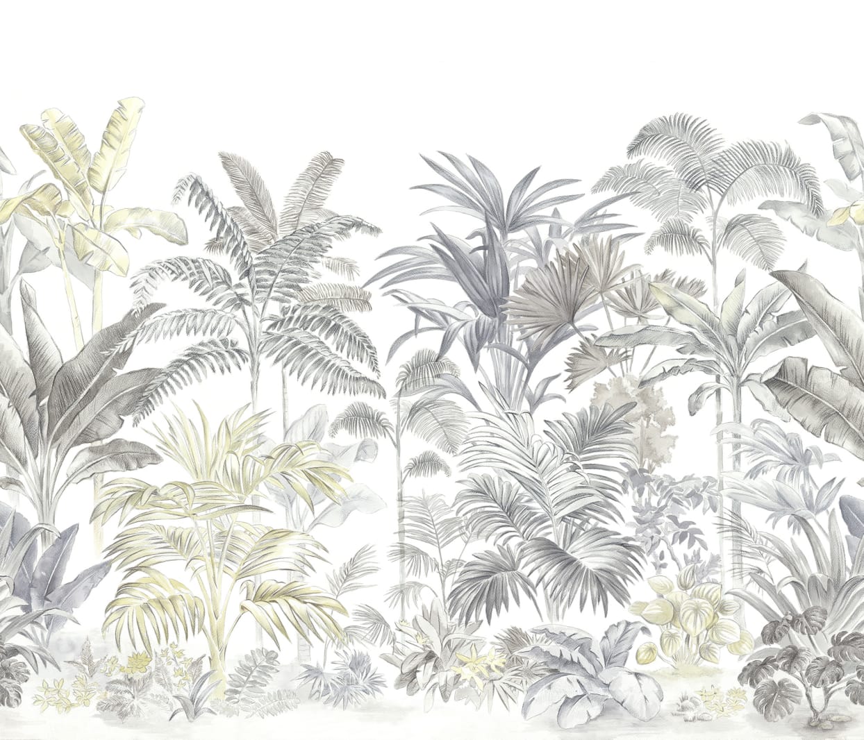 Pride Palms, Rebel Walls
