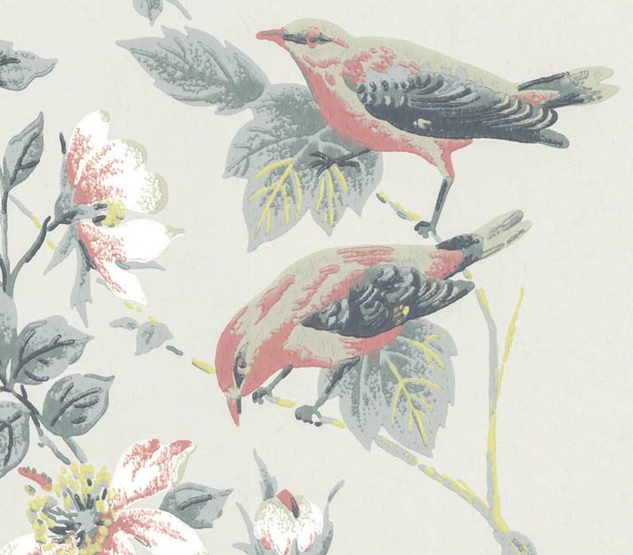 Rosemore, Grey Luxury Bird, 1838 Wallcoverings, 5.3mp / rola
