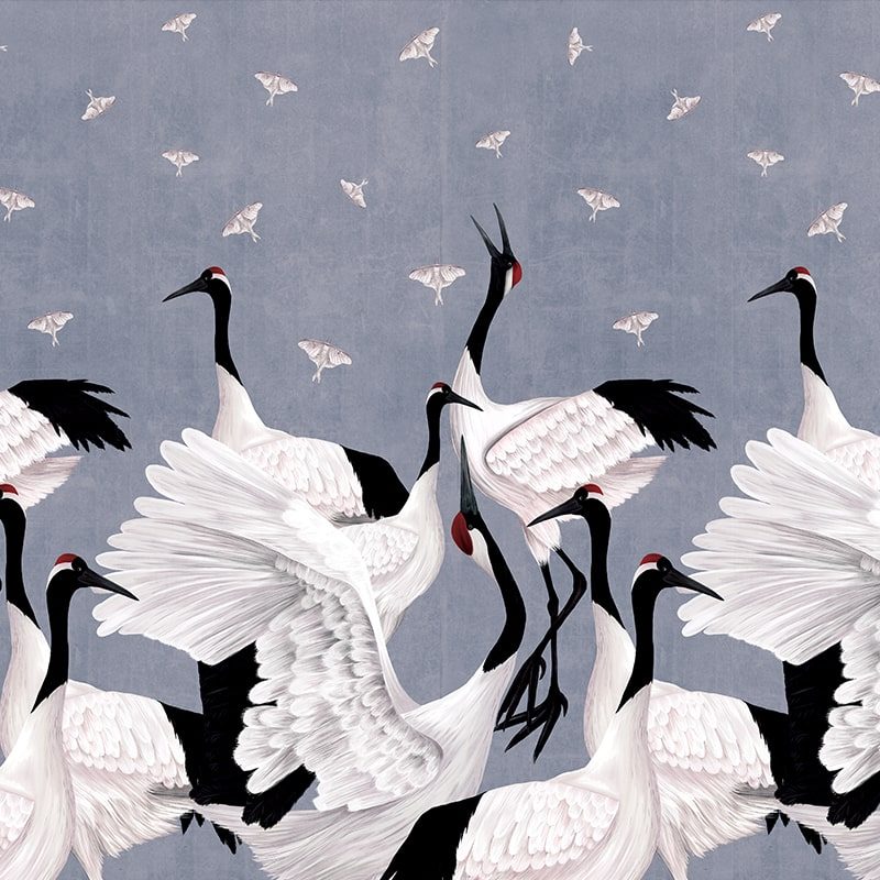 Grus Japonesis in Blue, VLAdiLA