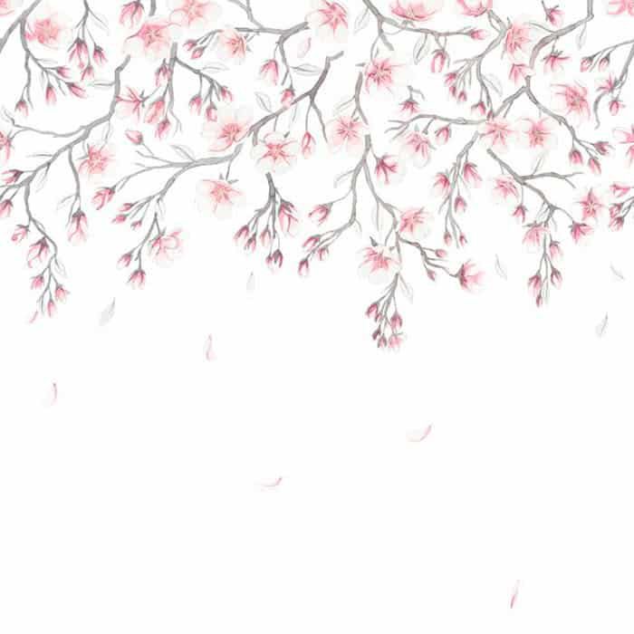 Sakura Mural Pink, Sandberg