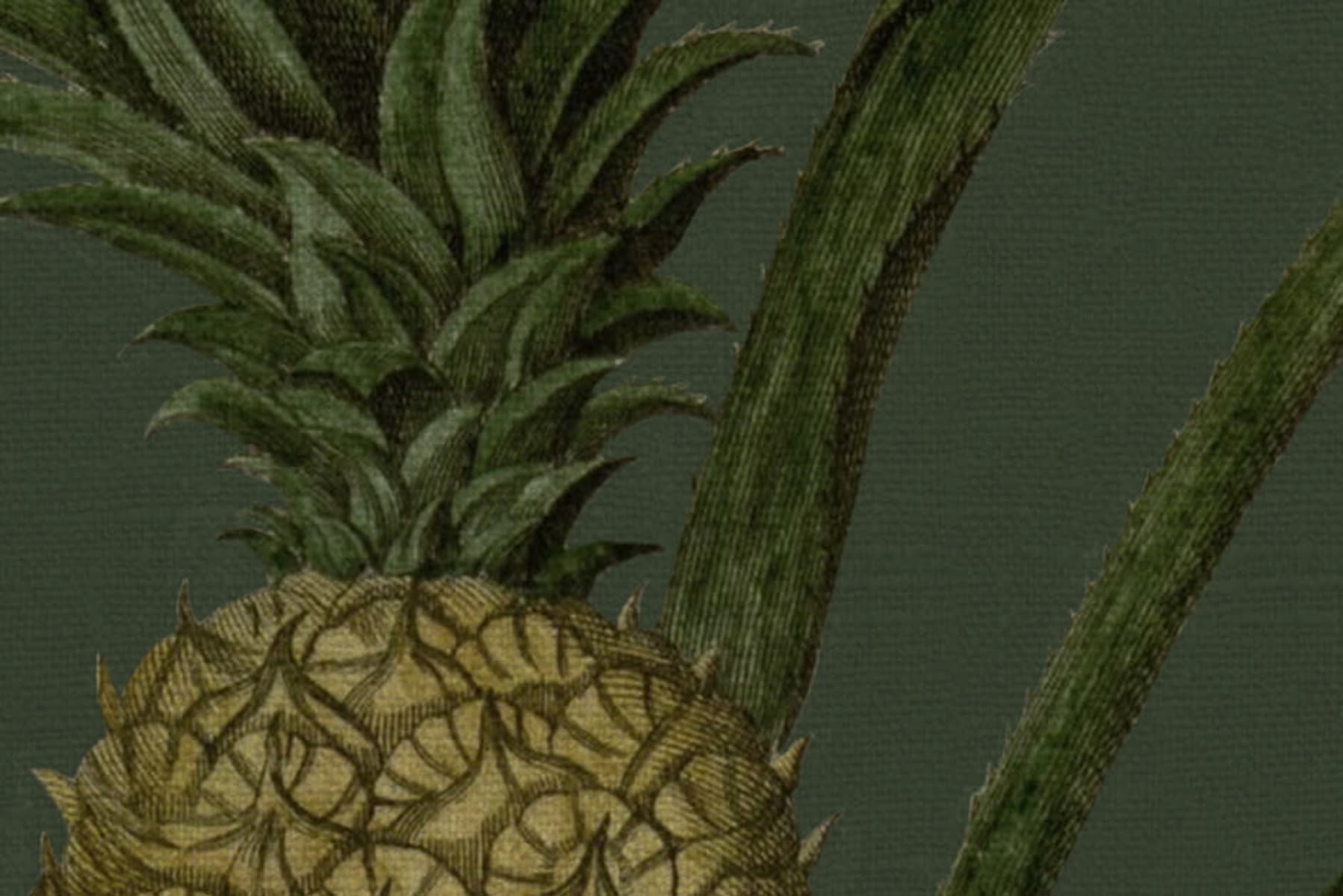 Pineapple, Lush, Rebel Walls 4