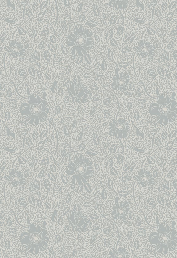 Anton, Misty Blue, Sandberg, 5.3mp / rola