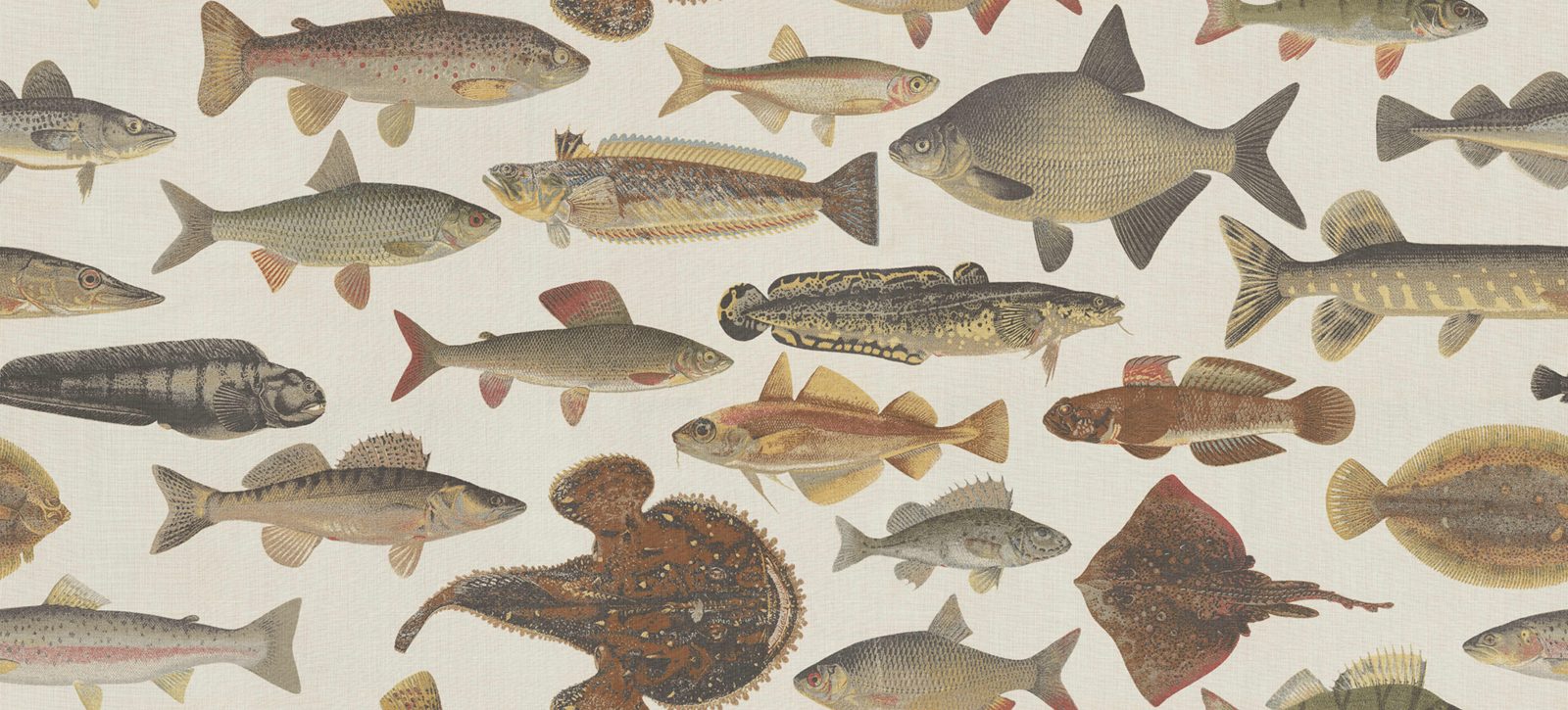 Scandinavian Fish, Beige, Sandberg