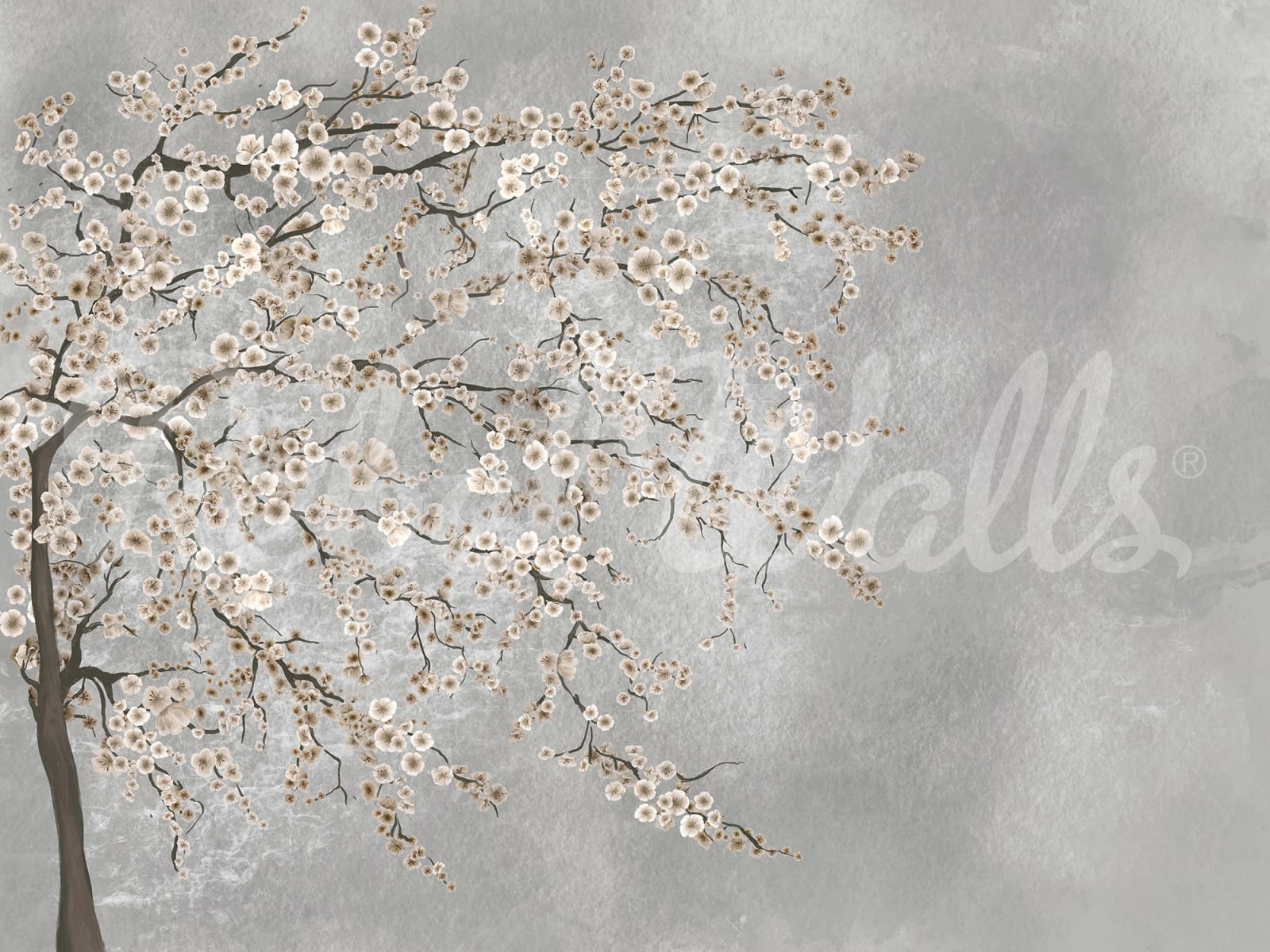 Calm Tree, Soft, Rebel Walls
