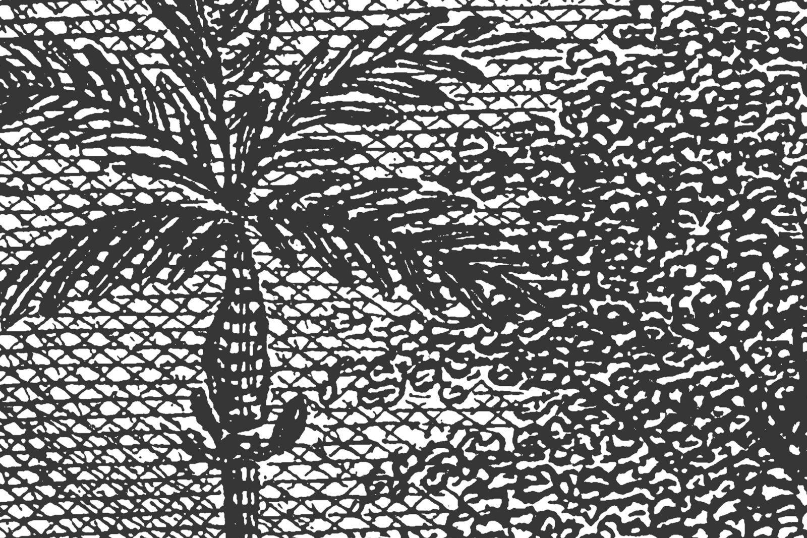 Palm Beach, Black & White, Rebel Walls 4