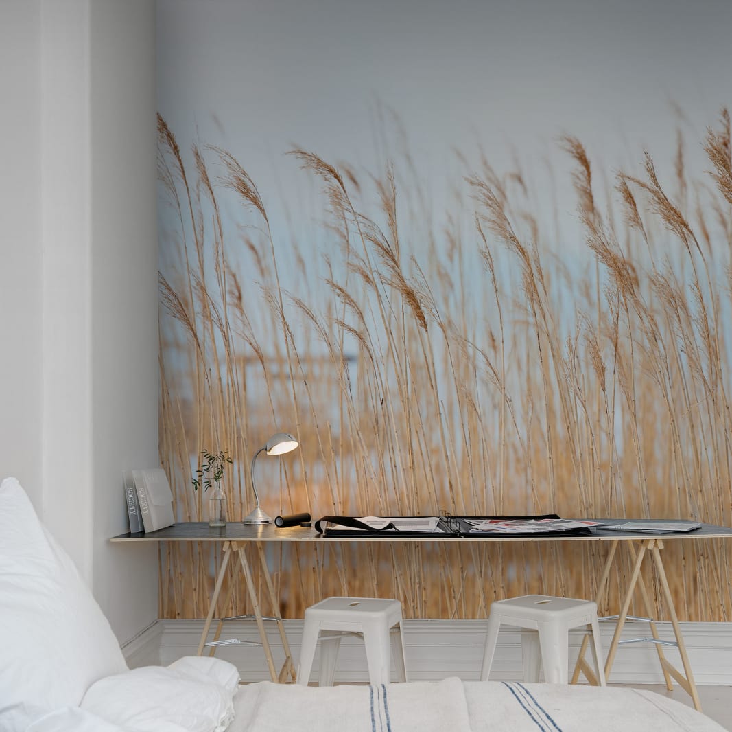 Swaying Wheat, Rebel Walls 2