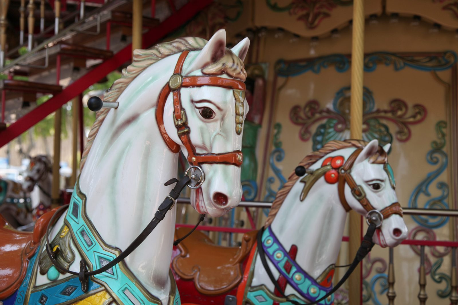Carousel, Rebel Walls