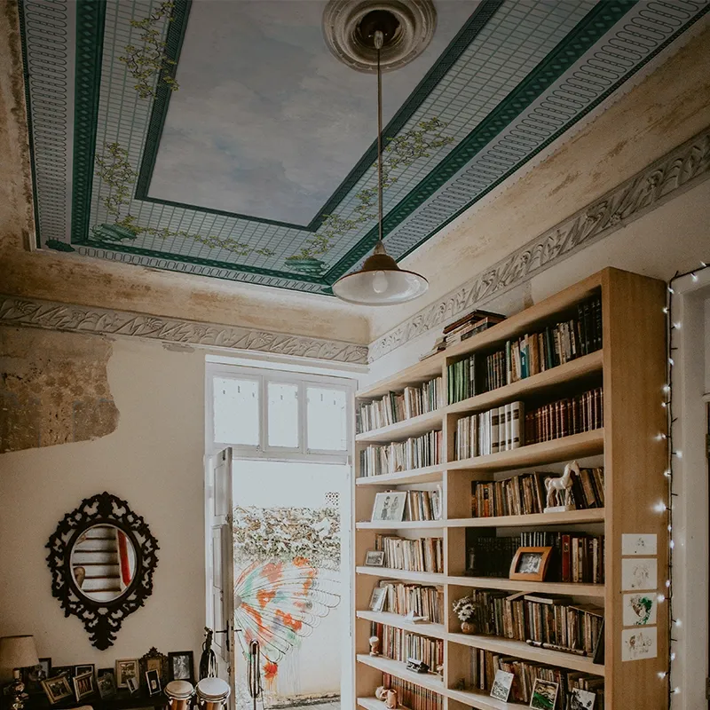 Aria, VLAdiLA 5